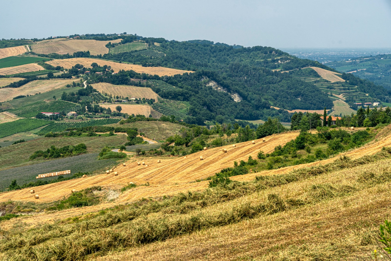 ambiente cassano